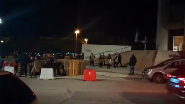 Benedizione degli animali a Molfetta - Sant'Antonio 2019