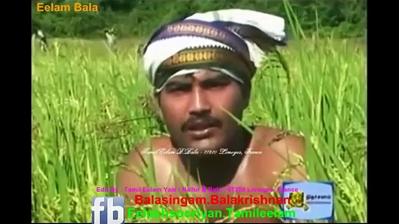 அன்று எமது தமிழ் ஈழத்தில் தமிழ்ப் புத்தாண்டு தமிழர் திருநாளாம் தைத்திருநாள் தைப்பொங்கல் » தமிழ் ஈழம் யாழ். நல்லூர் பா உ .பாலா - 87280 லிமோஸ், பிரான்ஸ்