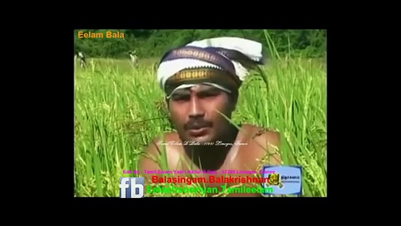 அன்று எமது தமிழ் ஈழத்தில் தமிழ்ப் புத்தாண்டு - தமிழர் திருநாளாம் தைத்திருநாள் தைப்பொங்கல் » தமிழ் ஈழம் யாழ். நல்லூர் பா உ .பாலா - 87280 லிமோஸ், பிரான்ஸ்