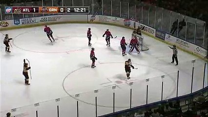 ECHL Atlanta Gladiators 3 at Greenville Swamp Rabbits 0