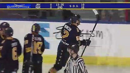 ECHL: Jacksonville Icemen (5) @ Norfolk Admirals (3)