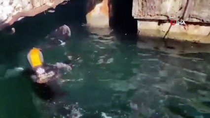 İBB İtfaiyesi’nden zodyak botlu kedi kurtarma operasyonu