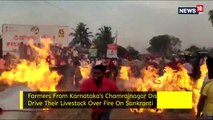 Karnataka Festival: Farmers Carry Livestock Over Burning Field For Good Fortune