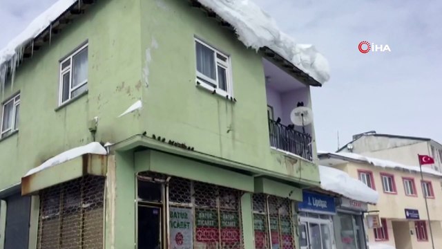 Karda aç kalan hayvanları besliyor