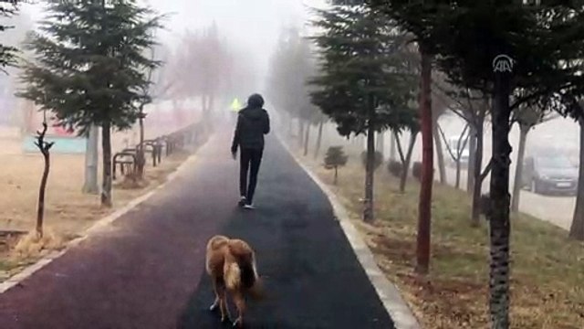 Sis nedeniyle görüş mesafesi yer yer 50 metrenin altına düştü - EDİRNE