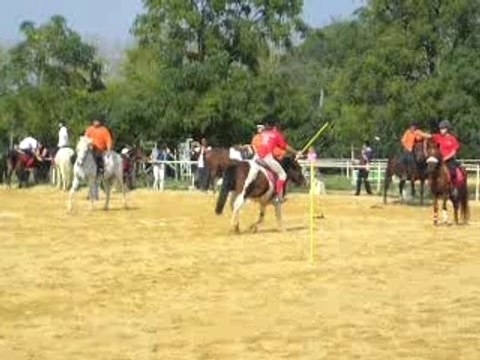 5 DRAPEAUX pony-games