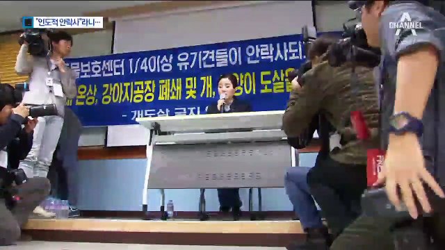 박소연 “논란 두려워 안락사 못 알려”…사퇴는 거부