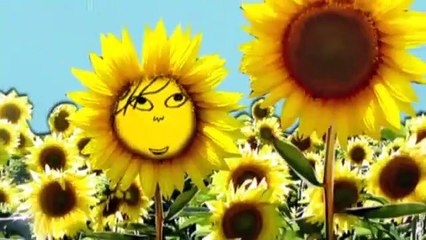 Charlie and Lola  S1E24 I Want to Be Much More Bigger Like You