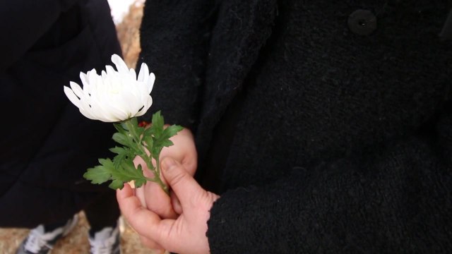 '김용균 사망' 진상 규명 촉구... 위험의 외주화 멈춰야 / YTN