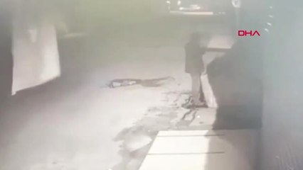 Hatay'da Mazgal Hırsızı Güvenlik Kamerasına Yakalandı