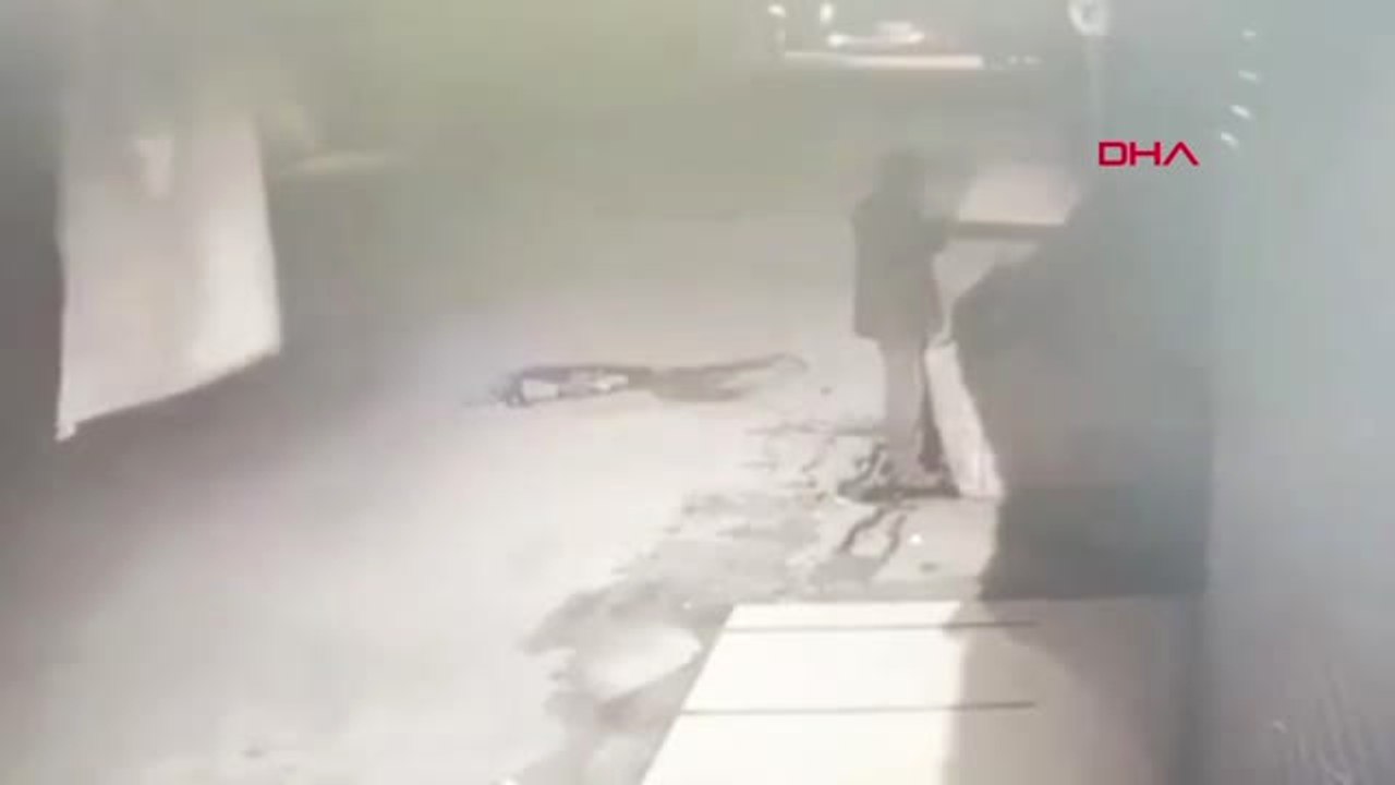 Hatay'da Mazgal Hırsızı Güvenlik Kamerasına Yakalandı