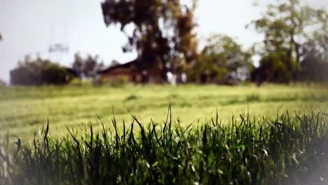 A vendre - Maison/villa - VEIGNE (37250) - 5 pièces - 97m²