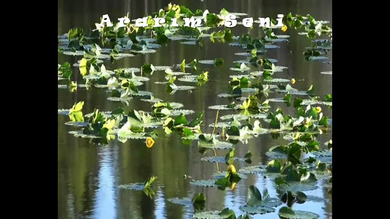 Ararım Seni Yazan Seslendiren  video Aynur Avcı