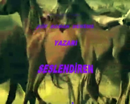 ATLARIN KARDEŞLİĞİ ** ROMANINDAN BİR BÖLÜM *ALİ RIZA KARS *Seslendiren Klip AYNUR AVCI