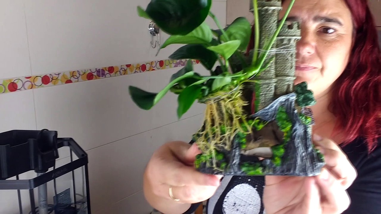 Acuario para pez BETTA