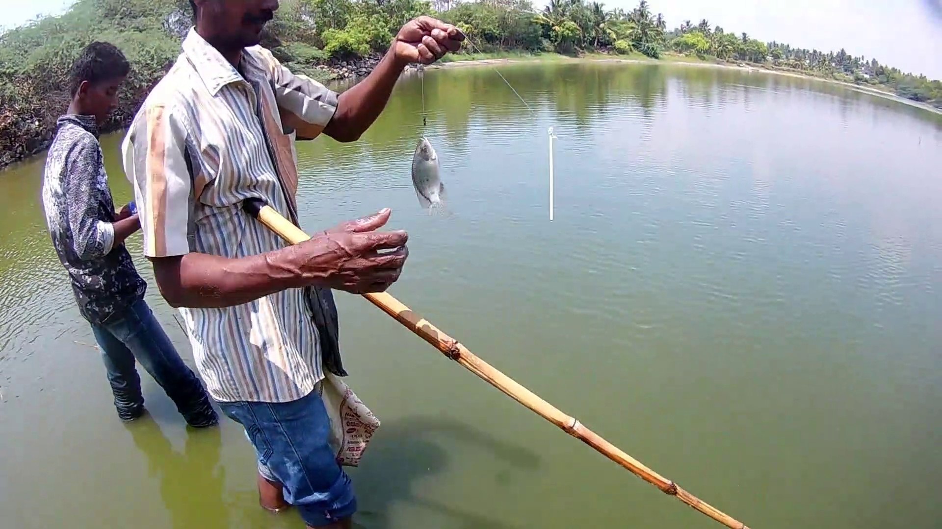 ⁣Pond fishing using unique technique | Meenavan Fishing