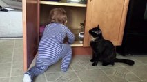 Regardez comment le chat de la maison se débarrasse d'un bébé gênant!