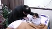 CM Usman Buzdar Visited the injured children In Sahiwal Incident