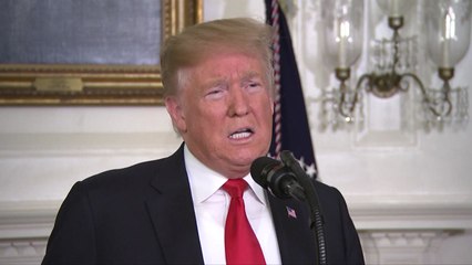 트럼프, 셧다운 종식 '빅딜' 제안... 민주, 부정적 / YTN