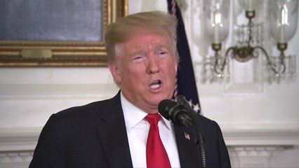 트럼프, 셧다운 종식 '빅딜' 제안...민주, 부정적 / YTN