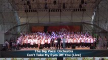 The Big Vocal Orchestra - Can't Take My Eyes Off You