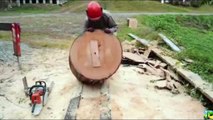 Dangerous Technology Fastest Workers Biggest Tree Felling Cutting Down (1)