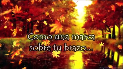 Cantares 8 (Ponme como un Sello) - Edith Aravena