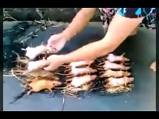 یہ ویڈیو دکھنے  کے بعد اپ کا کچھ کہنے کو دل نی کرے گا