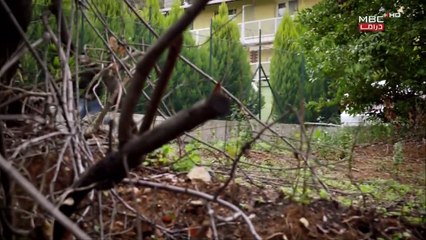 مسلسل شارع السلام حلقة 28 مدبلج لعربية