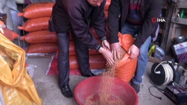 Markette 21 TL, üreticide 3 TL olan nohut alıcı bulamıyor