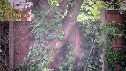 Homes Under the Hammer S22 - Ep26 -. Part 02 HD Watch