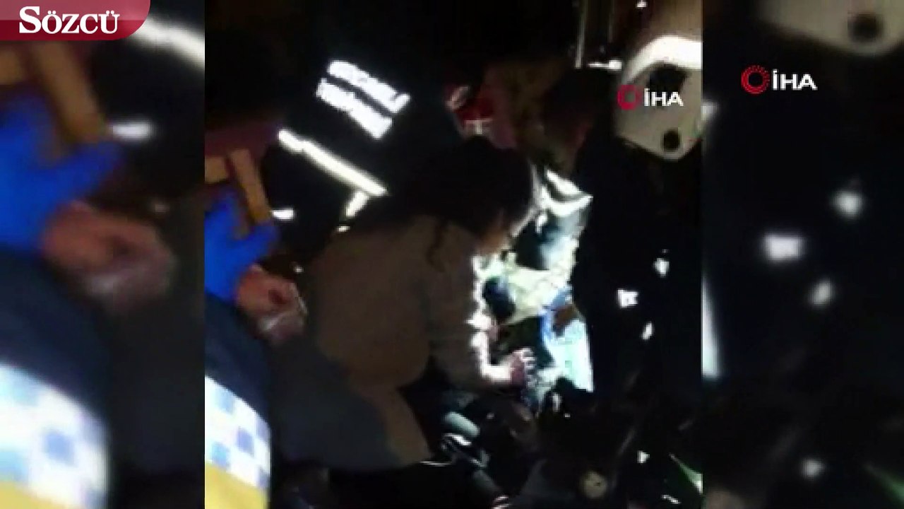 Yangında dumandan etkilenerek fenalaşan köpek b...
