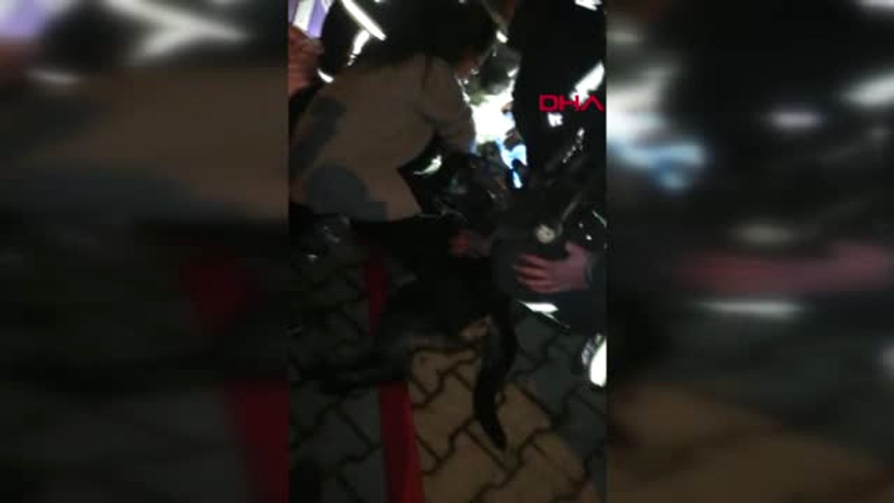 Kocaeli Yangında Dumandan Etkilenen Köpeği Kalp Masajıyla Hayata Döndürdüler