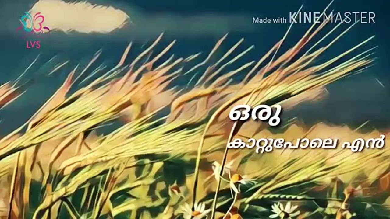 Oru Nokku kaanuvan whatsapp status Malayalam