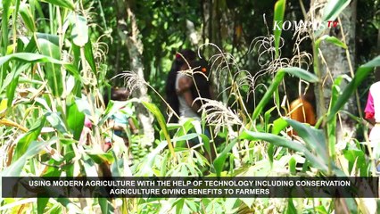 Menggapai Asa di Kerontang Timur Nusantara (3)