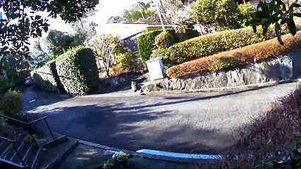 EDR January #20 2019 Noise Campaign and Street Theater