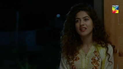 Tajdeed e Wafa Episode #18 HUM TV Drama 20 January 2019