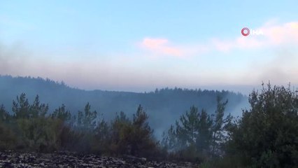 Osmaniye'de Orman Yangını