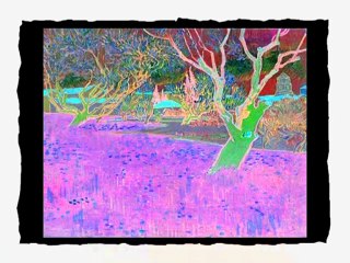 Baby Van Gogh in G Major [Part 2]