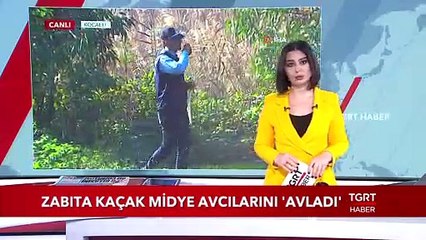 Zabıta Kaçak Midye Avcılarını Avladı