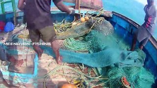 Boat Launcher long net Fishing | Don't use platics