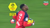 But Rafael LEAO (45ème  2) / LOSC - Amiens SC - (2-1) - (LOSC-ASC) / 2018-19