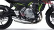 2019 Kawasaki Z650 New Color Black Green | New Kawasaki Z650 Version 2019 | Mich Motorcycle