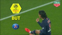 But Edinson CAVANI (75ème) / Paris Saint-Germain - EA Guingamp - (9-0) - (PARIS-EAG) / 2018-19