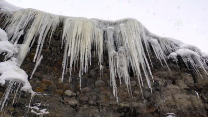 Soğuk hava nehir ve dereleri dondurdu - AĞRI