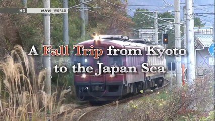 TC 4 - Un voyage d'automne de Kyoto à la mer du Japon