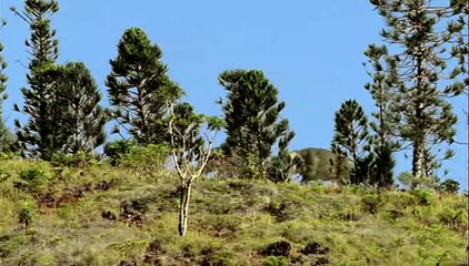 Walking With Dinosaurs Ep 1 - New Blood