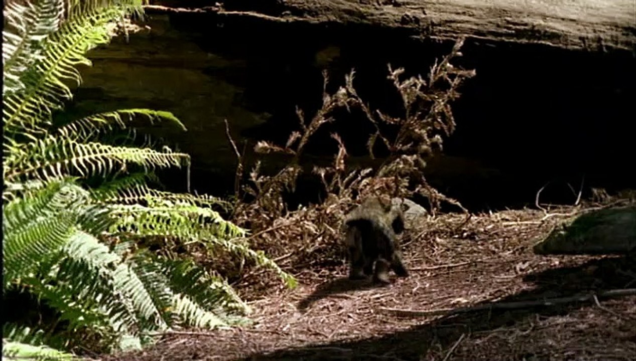 Walking With Dinosaurs Ep 2 - Time Of The Titans