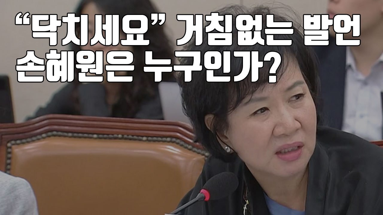 [자막뉴스] "닥치세요" 거침없는 발언...손혜원은 누구인가? / YTN