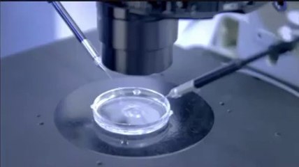 Belgesel - Stephen Hawking ile Kök Hücre Evreni (Belgesel)